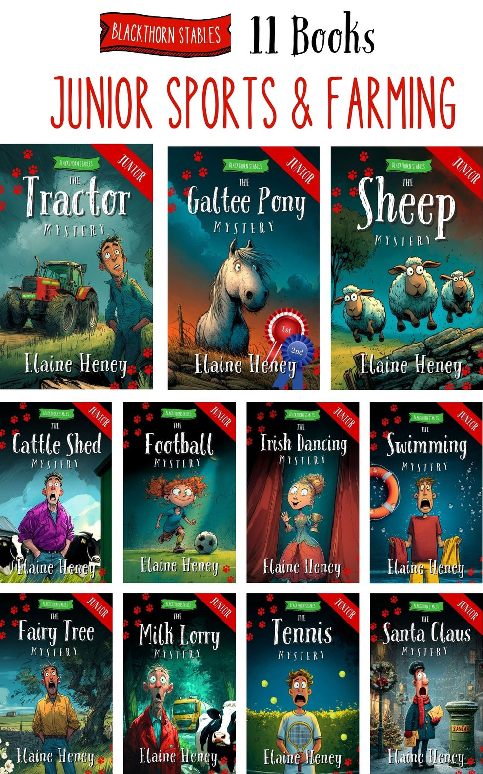 Blackthorn Stables Junior Sports - 11 Book Bundle - Junior Sports & Fa ...