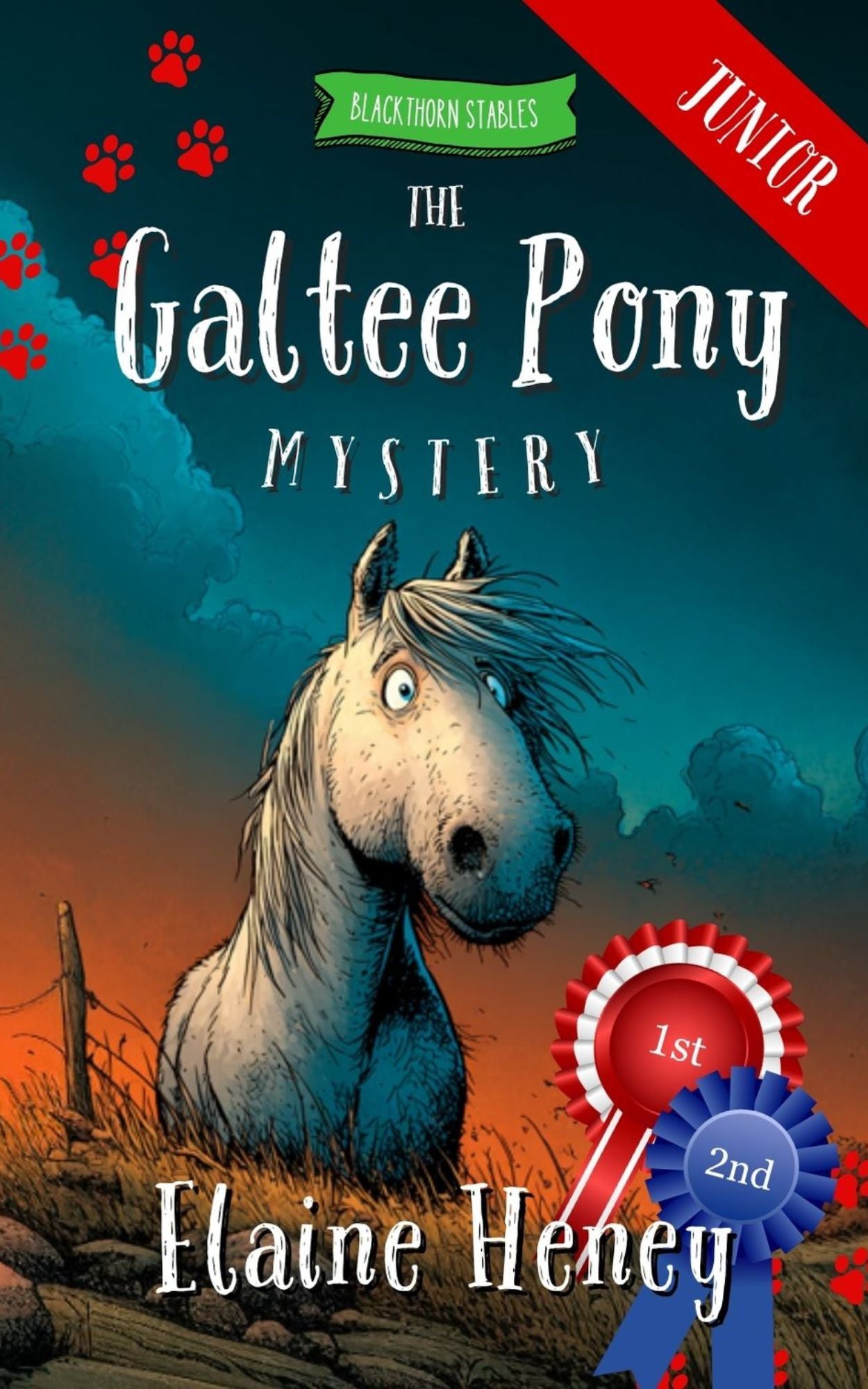 The Galtee Pony Mystery - Blackthorn Stables Junior - AnPost
