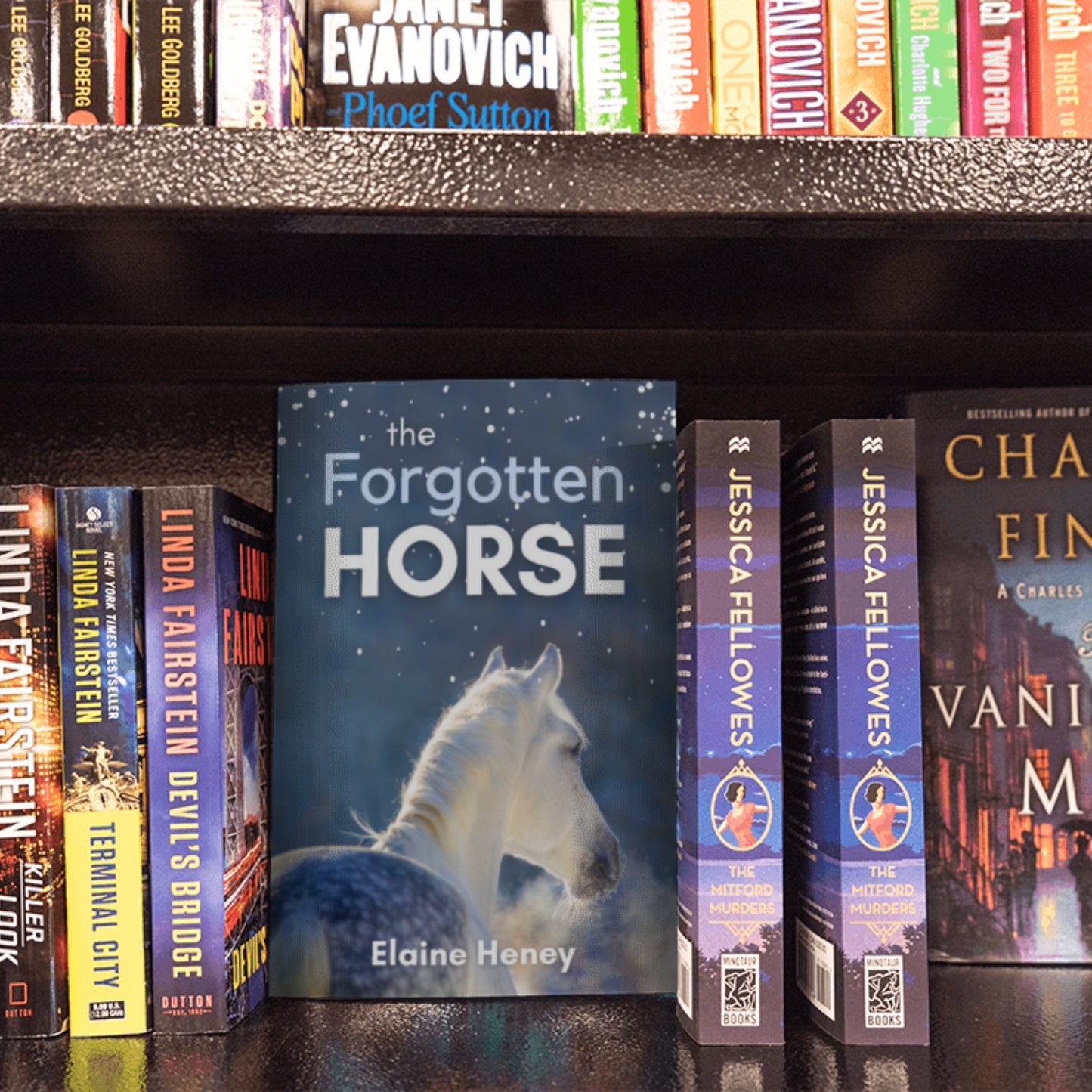 The Forgotten Horse - Book 1 in the Connemara Horse Adventure Series for Kids. The perfect gift for children age 8-12