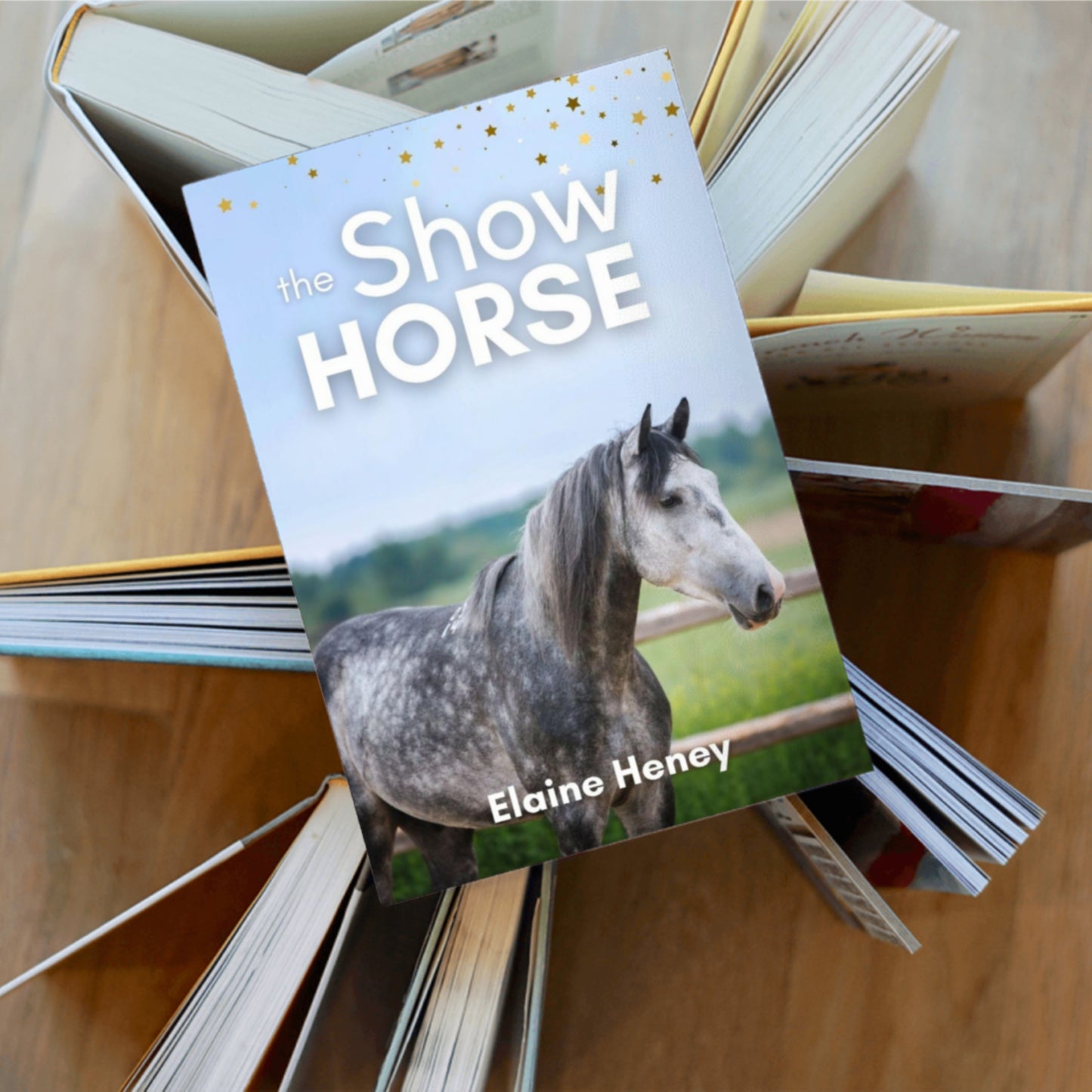 The Show Horse - Book 2 in the Connemara Horse Adventure Series for Kids