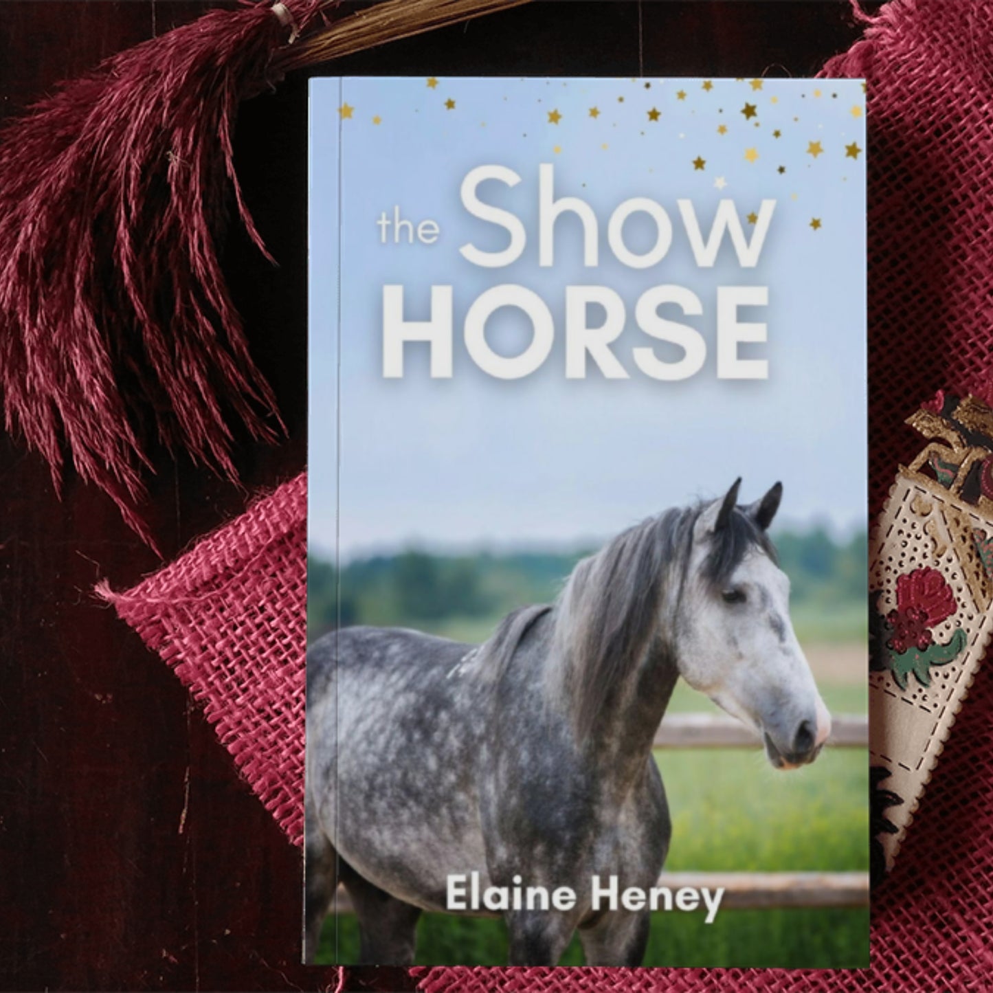 The Show Horse - Book 2 in the Connemara Horse Adventure Series for Kids