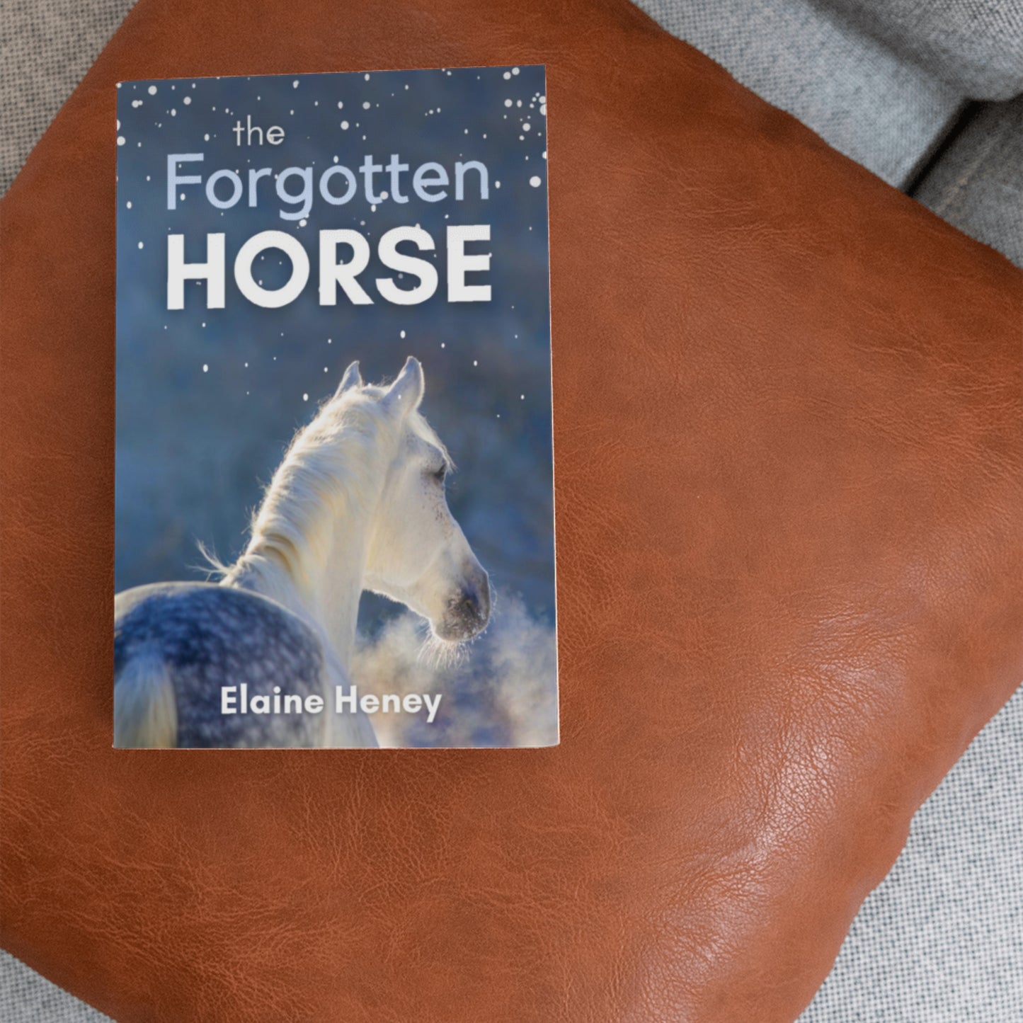 The Forgotten Horse - Book 1 in the Connemara Horse Adventure Series for Kids. The perfect gift for children age 8-12