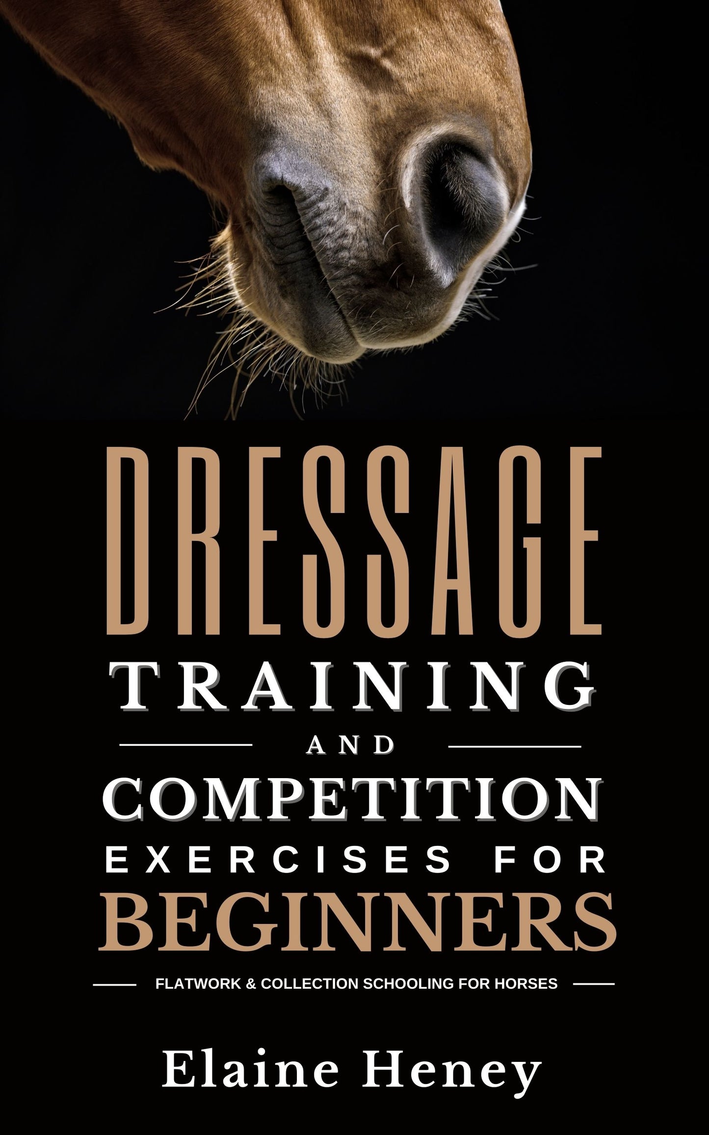 Dressage training and competition exercises for beginners: Flatwork & collection schooling for horses