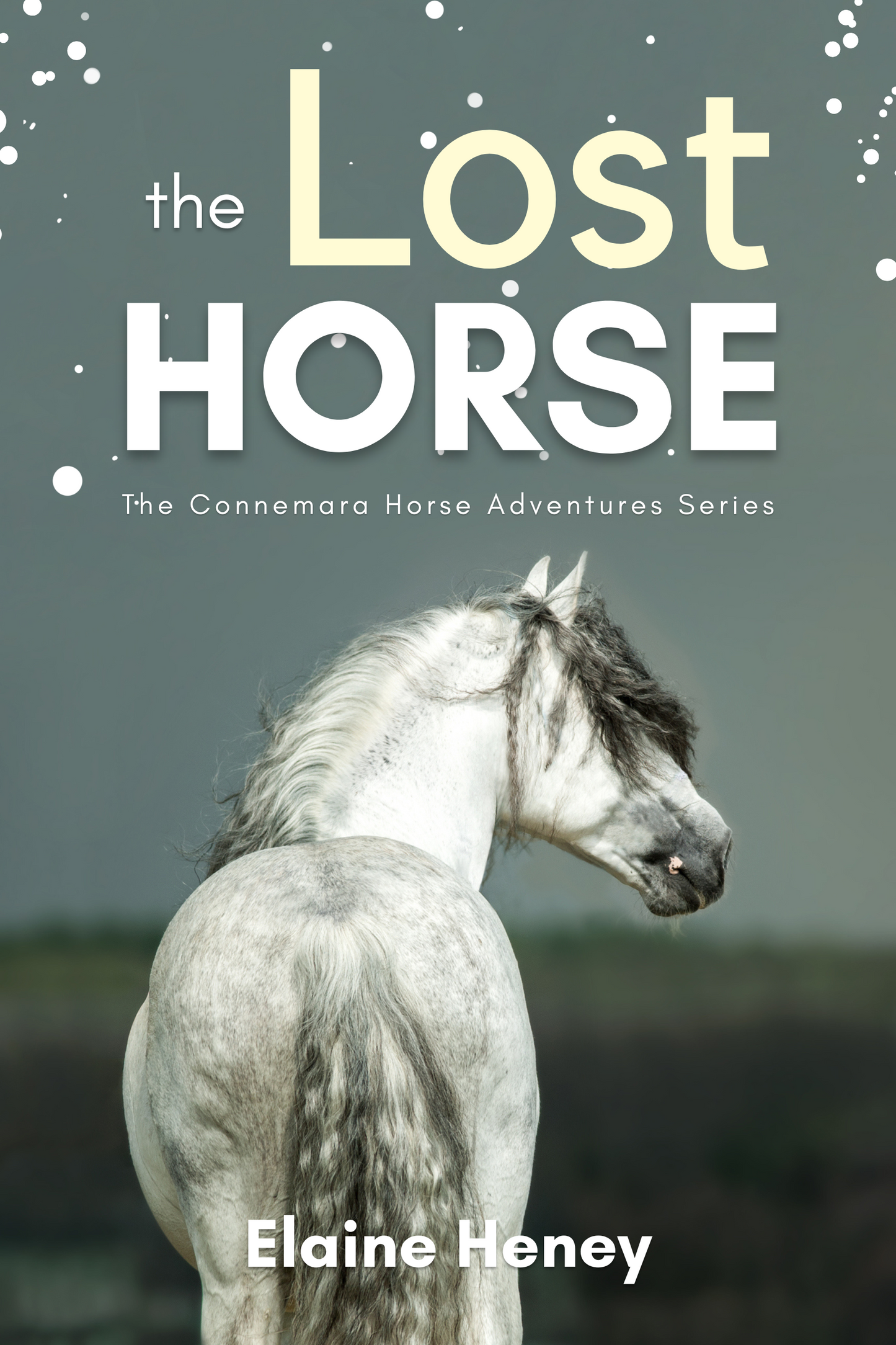 The Lost Horse - Book 6 in the Connemara Horse Adventure Series for Kids