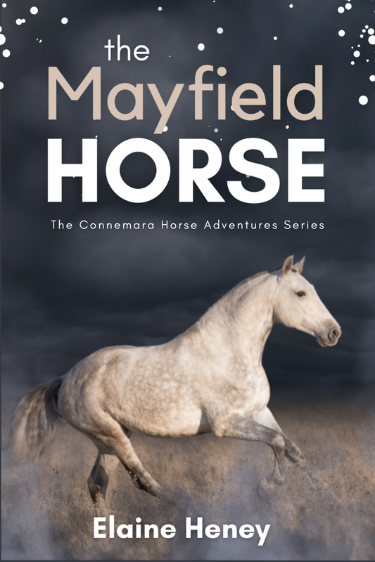 The Mayfield Horse - Book 3 in the Connemara Horse Adventure Series for Kids | The Perfect Gift for Children age 8-12