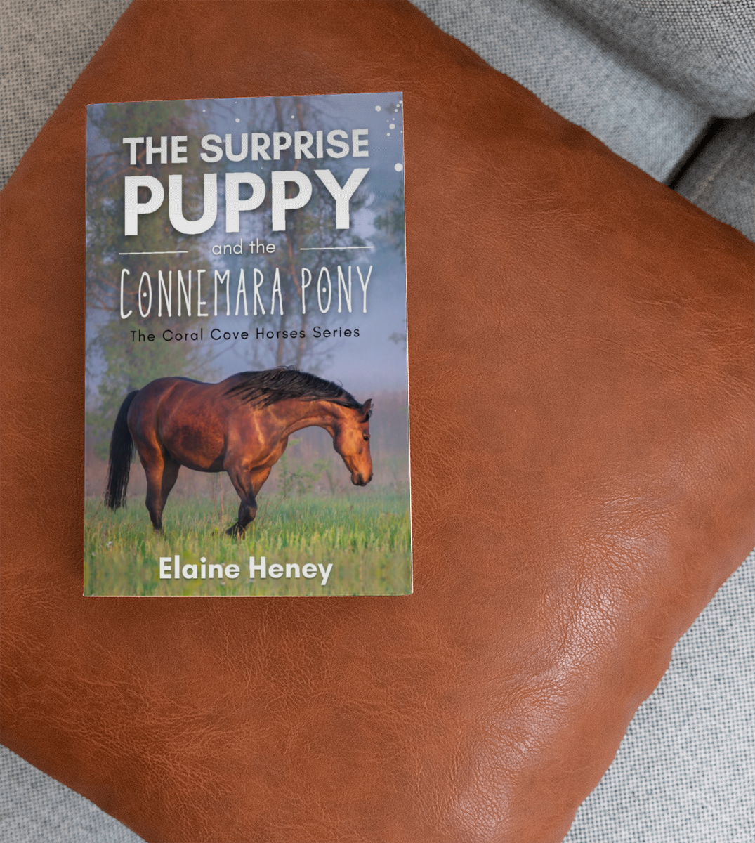 The Surprise Puppy and the Connemara Pony - The Coral Cove Horses Series