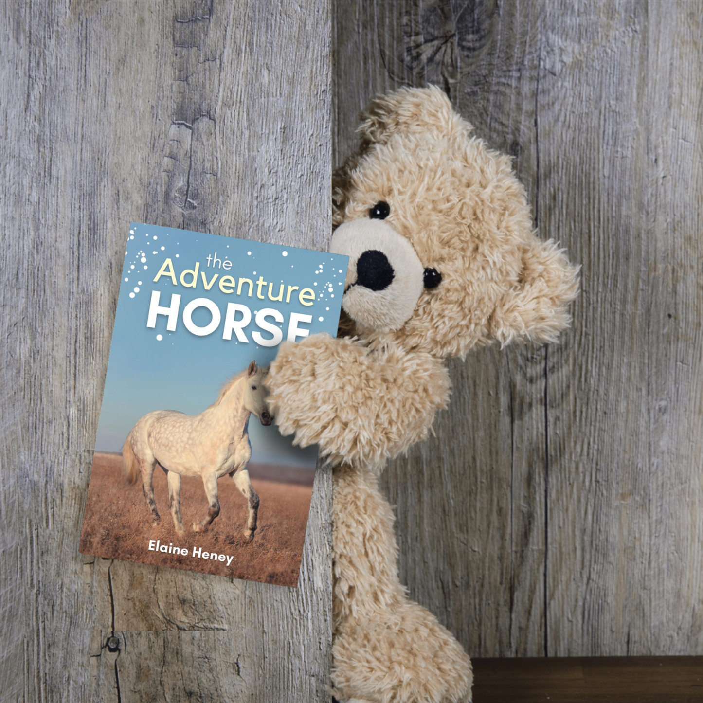 The Adventure Horse - Book 5 in the Connemara Horse Adventure Series for Kids