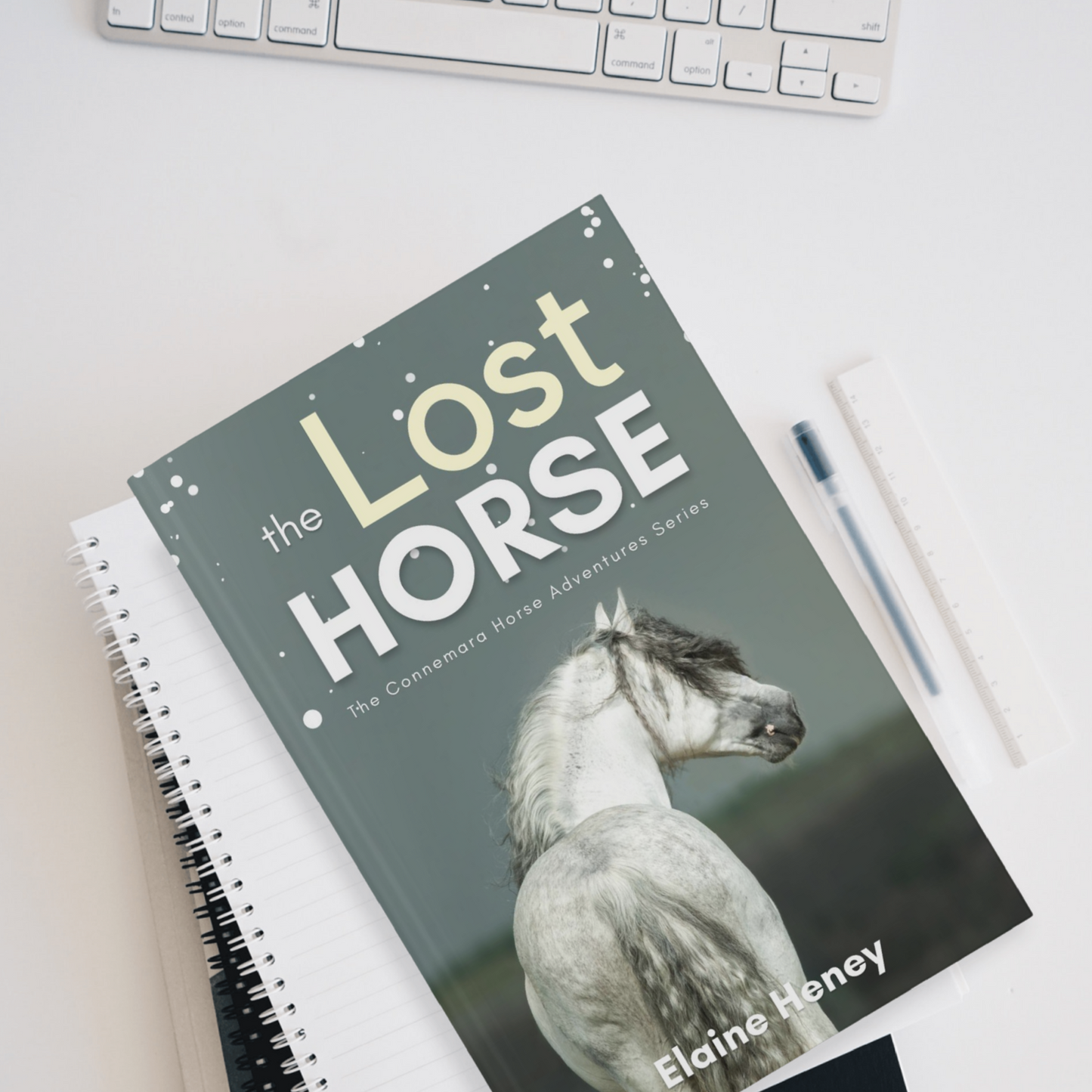 The Lost Horse - Book 6 in the Connemara Horse Adventure Series for Kids