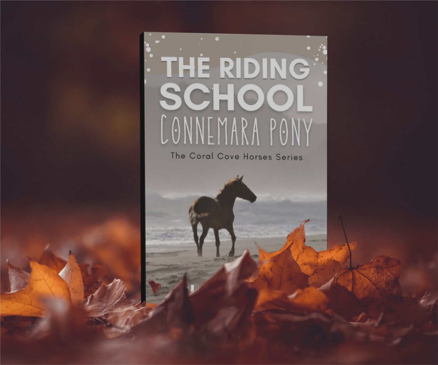 The Riding School Connemara Pony - The Coral Cove Horses Series