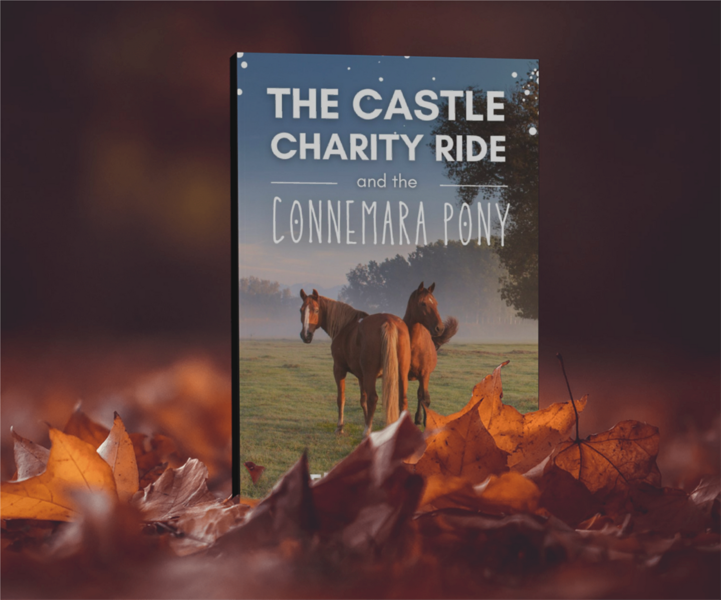The Castle Charity Ride and the Connemara Pony - The Coral Cove Horses Series