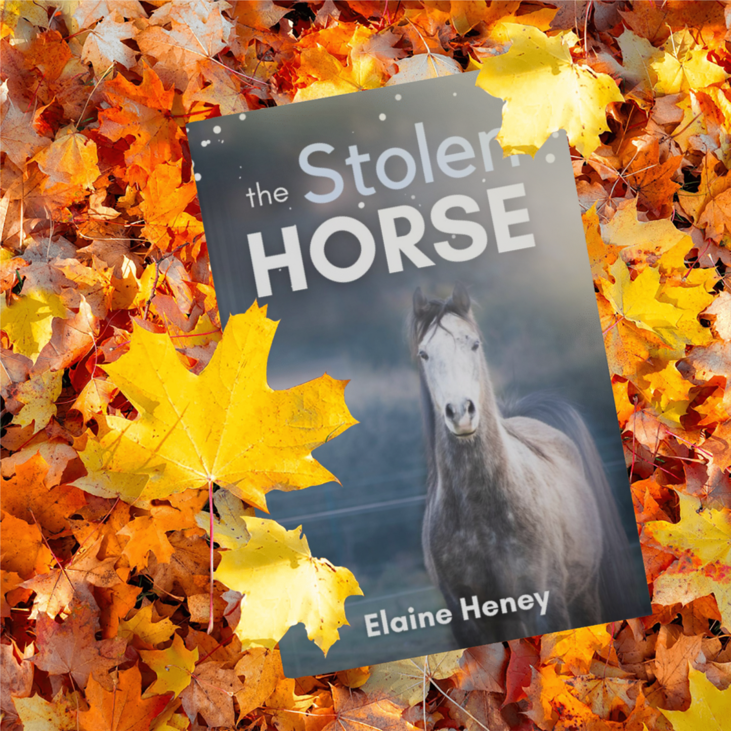The Stolen Horse - Book 4 in the Connemara Horse Adventure Series for Kids | The Perfect Gift for Children age 8-12