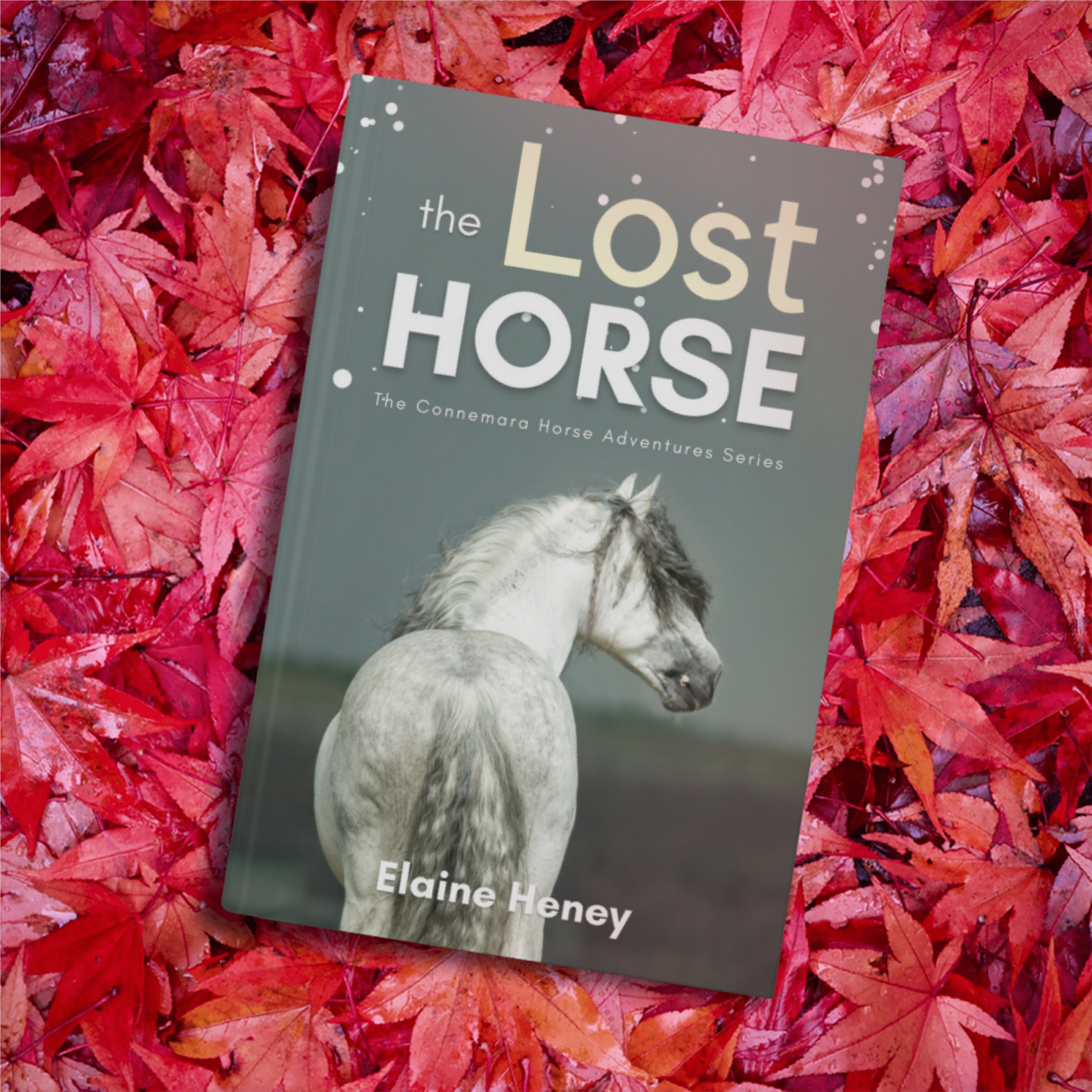 The Lost Horse - Book 6 in the Connemara Horse Adventure Series for Kids