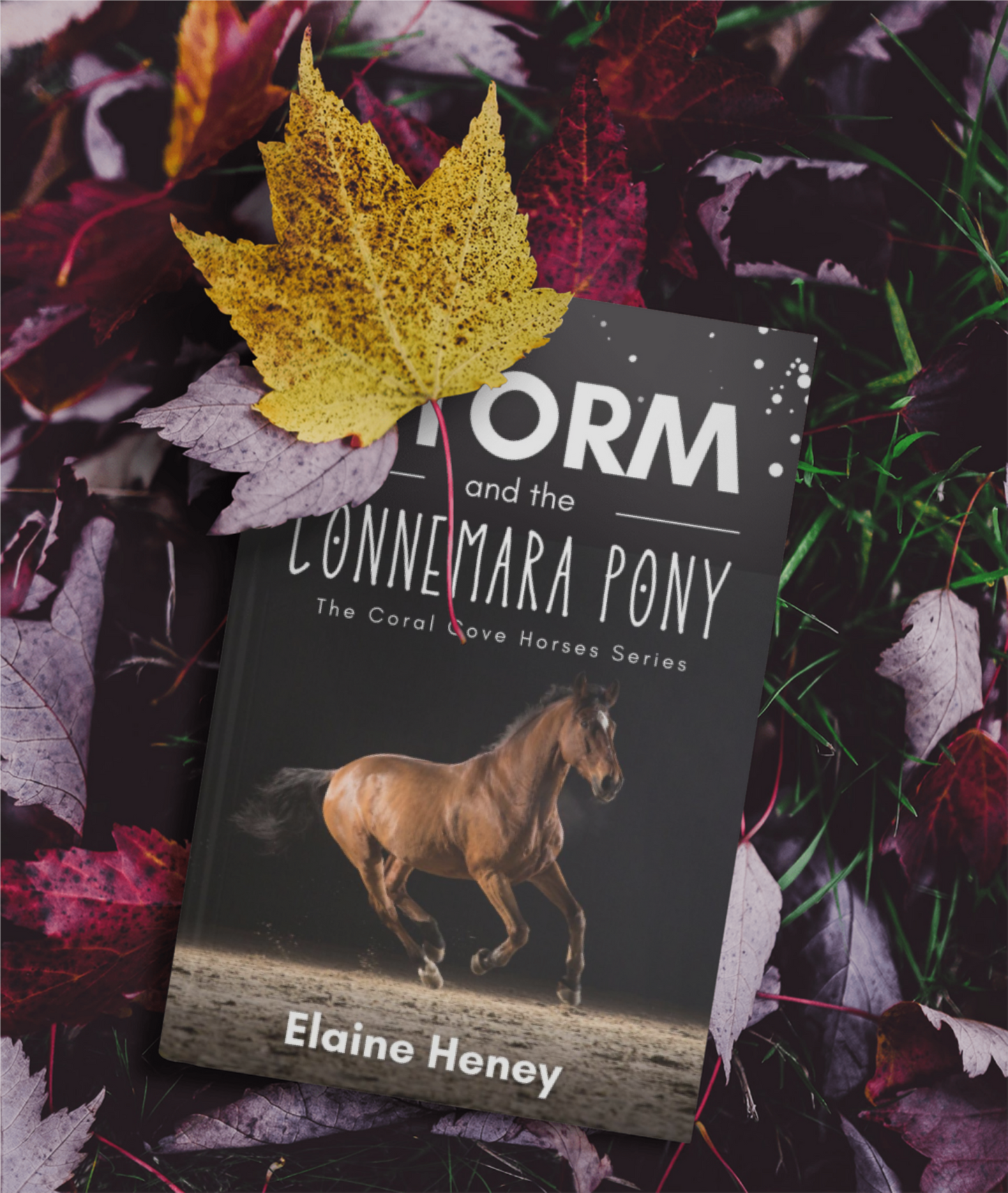 The Storm and the Connemara Pony - The Coral Cove Horses Series