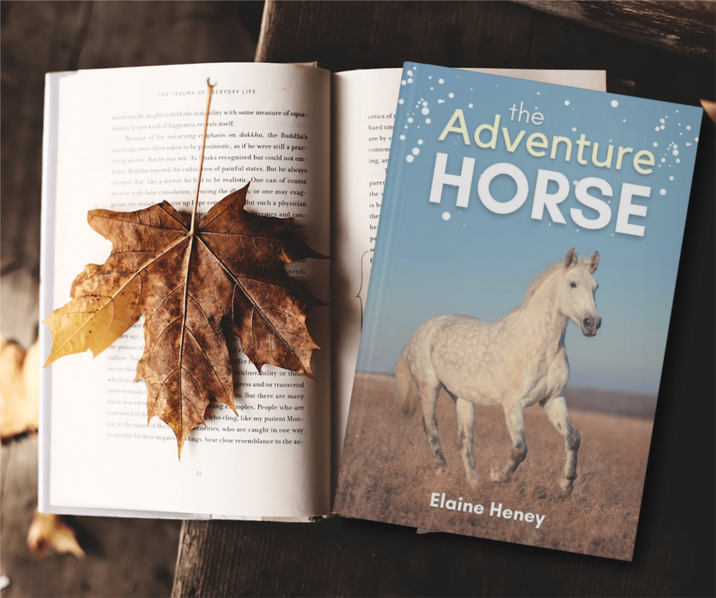 The Adventure Horse - Book 5 in the Connemara Horse Adventure Series for Kids