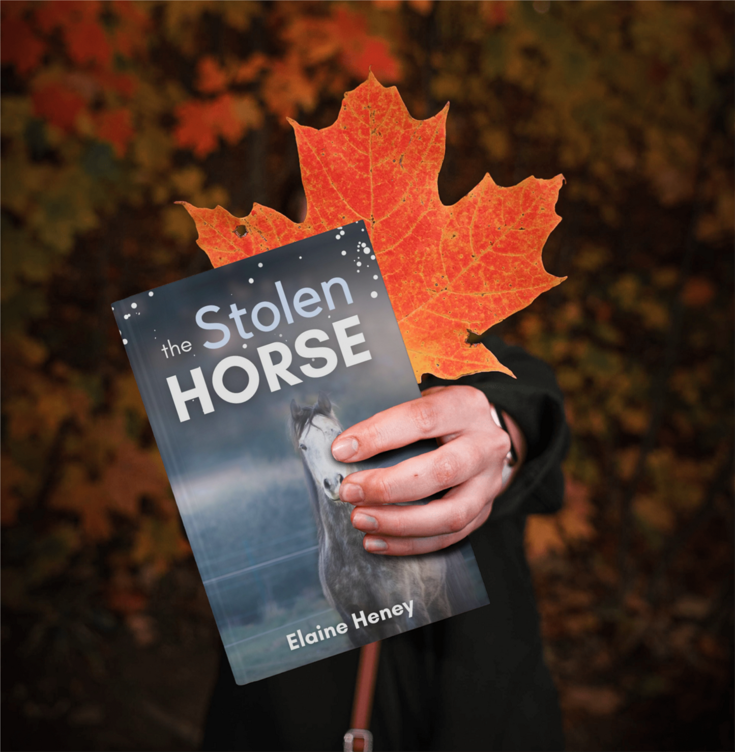 The Stolen Horse - Book 4 in the Connemara Horse Adventure Series for Kids | The Perfect Gift for Children age 8-12