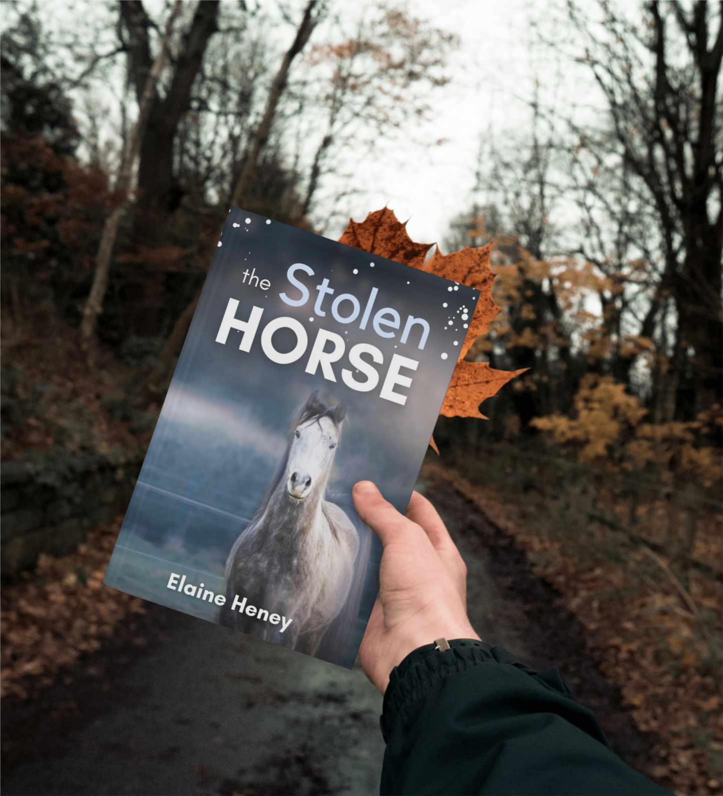 The Stolen Horse - Book 4 in the Connemara Horse Adventure Series for Kids | The Perfect Gift for Children age 8-12