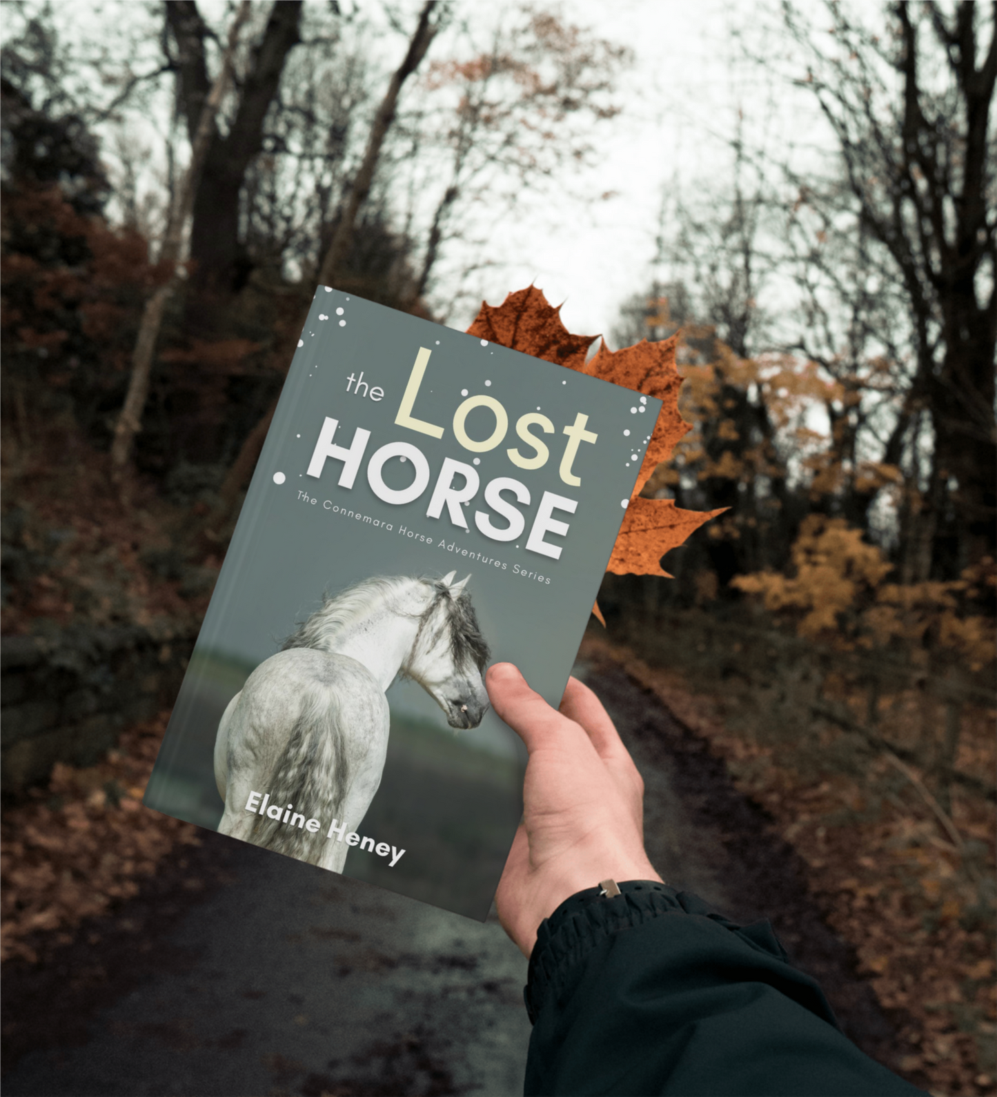 The Lost Horse - Book 6 in the Connemara Horse Adventure Series for Kids