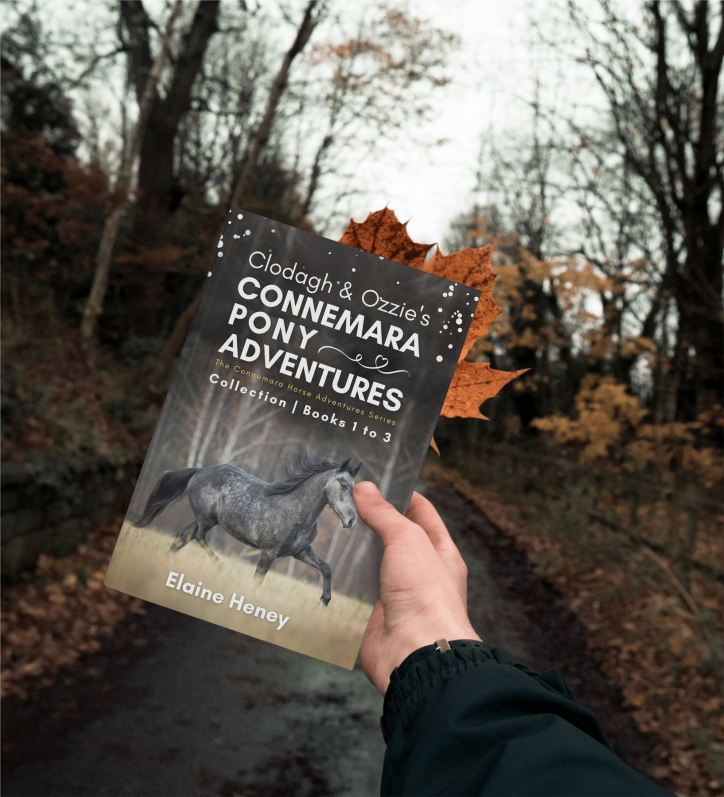 Clodagh & Ozzie's Connemara Pony Adventures | The Connemara Horse Adventures Series Collection - Books 1 to 3